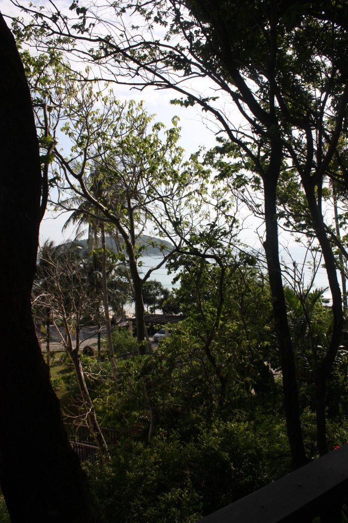 Тай острова 2793.jpg